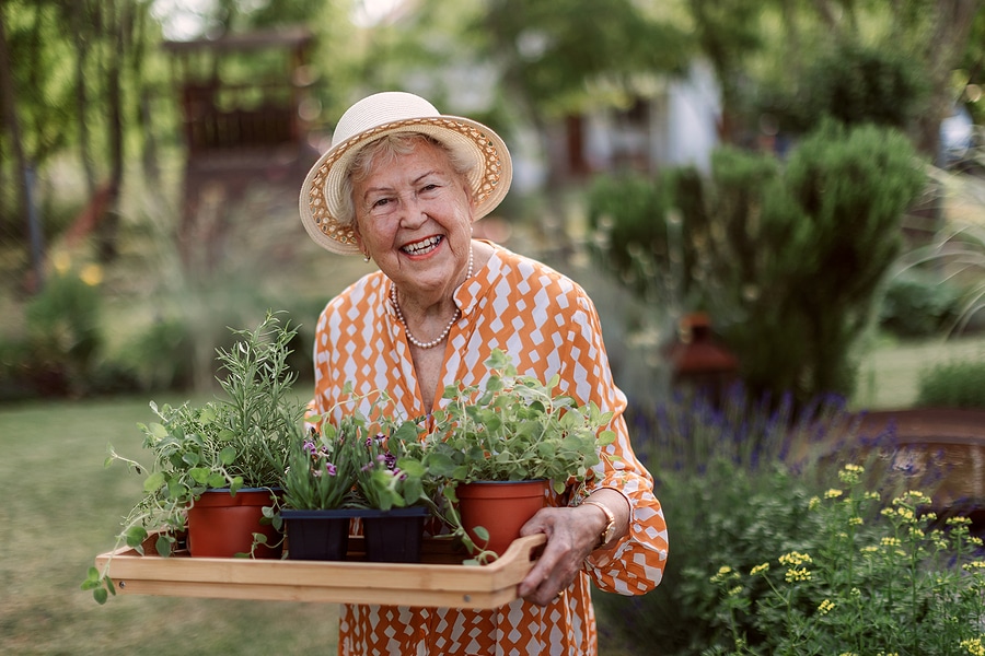 Home care can encourage and support aging seniors in various activities like gardening.