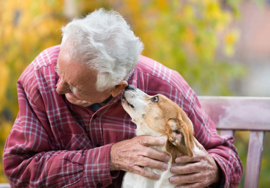 Companion care can help seniors with providing good care for their pets.